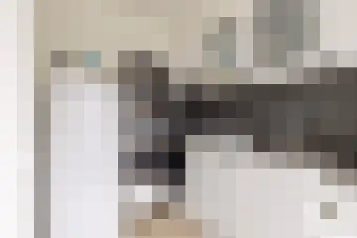Orkestlaan 18 Kampen thumbnail 16