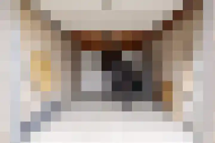 Orkestlaan 18 Kampen thumbnail 33