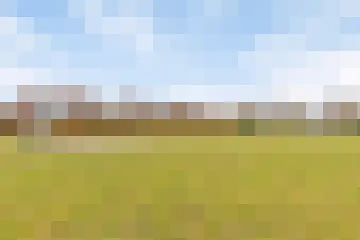Orkestlaan 18 Kampen thumbnail 35
