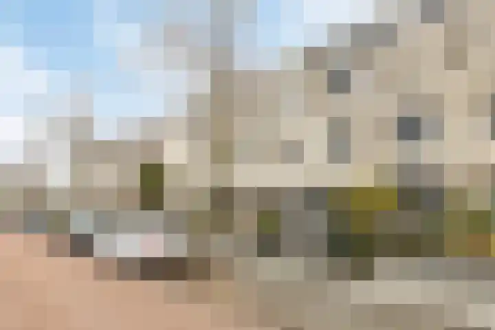Orkestlaan 18 Kampen thumbnail 6