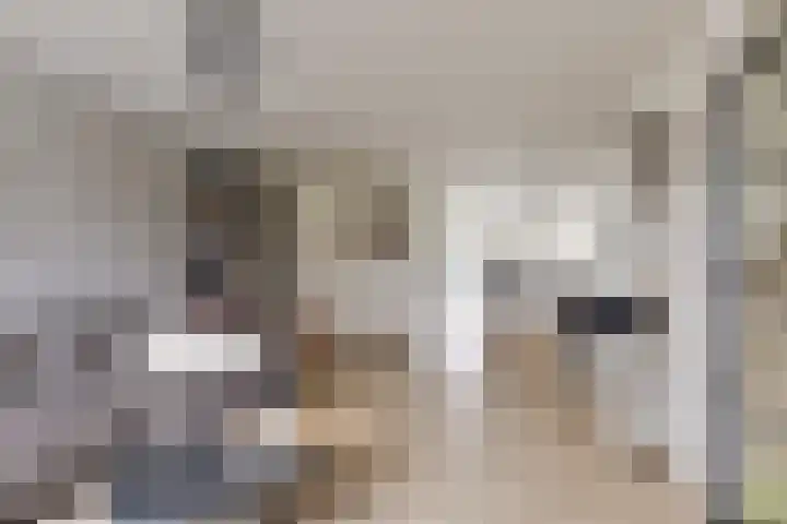 Orkestlaan 18 Kampen thumbnail 9