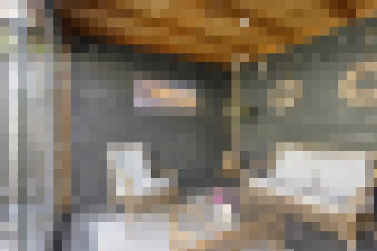 Orkestlaan 28 Kampen thumbnail 30