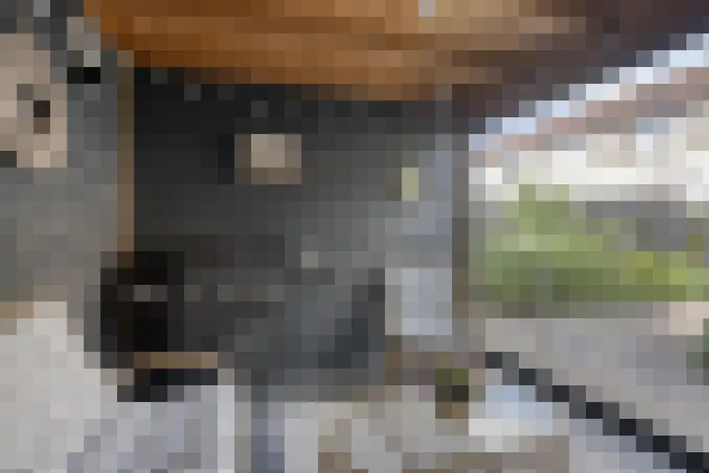 Orkestlaan 28 Kampen thumbnail 31