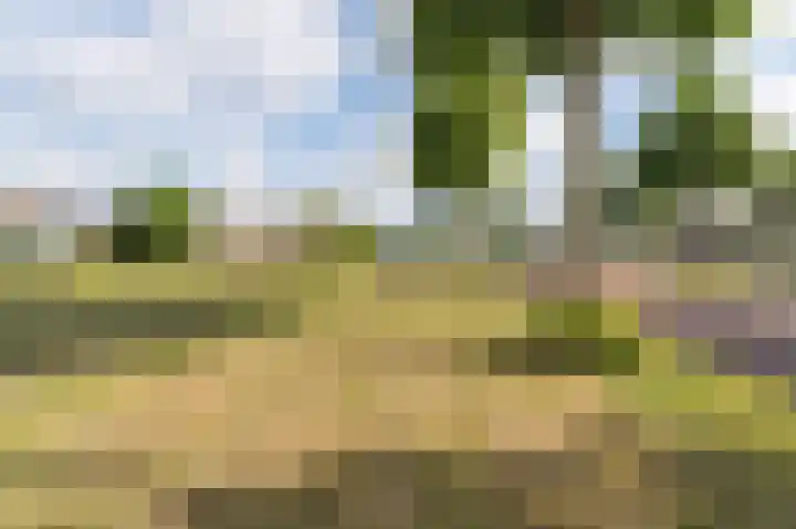 Orkestlaan 4 Kampen thumbnail 55