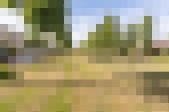 Orkestlaan 4 Kampen thumbnail 56