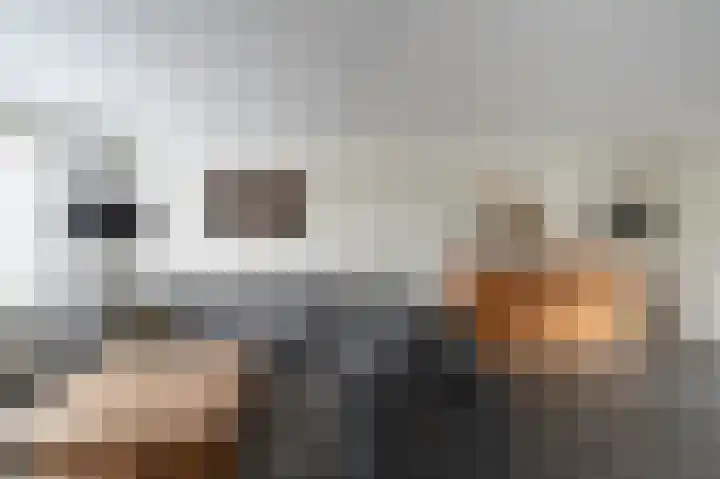 Orkestlaan 6 Kampen thumbnail 13