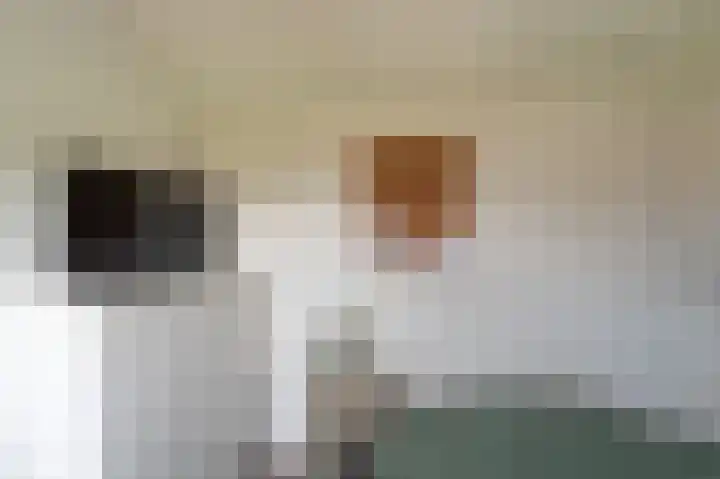 Orkestlaan 6 Kampen thumbnail 49