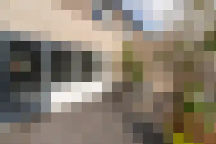 Orkestlaan 8 Kampen thumbnail 23