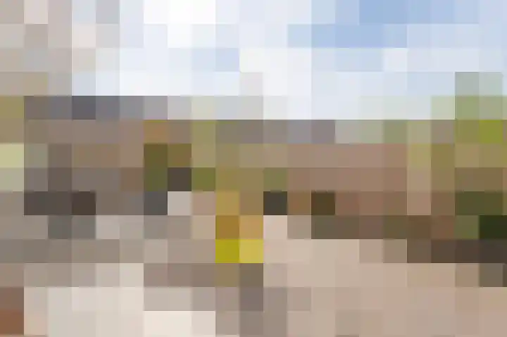 Orkestlaan 8 Kampen thumbnail 28