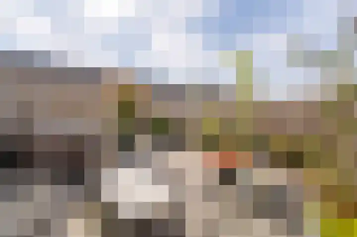 Orkestlaan 8 Kampen thumbnail 29