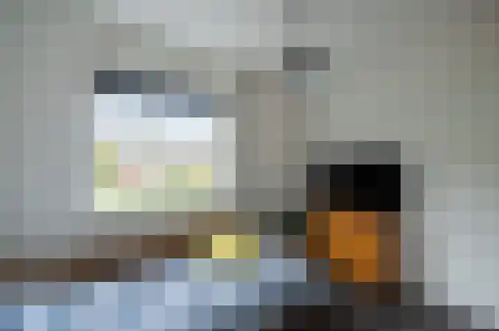 Orkestlaan 8 Kampen thumbnail 37