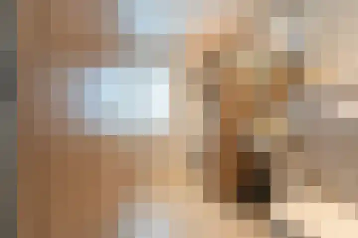 Orkestlaan 8 Kampen thumbnail 44