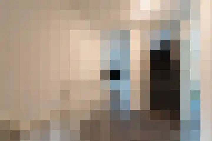 Orkestlaan 8 Kampen thumbnail 48