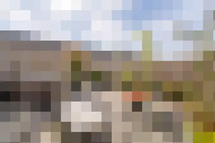 Orkestlaan 8 Kampen thumbnail 6