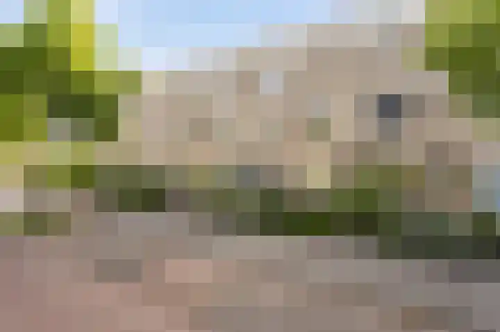 Orkestlaan 8 Kampen thumbnail 7