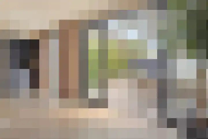 Orlando di Lassostraat 21 's-Hertogenbosch thumbnail 12