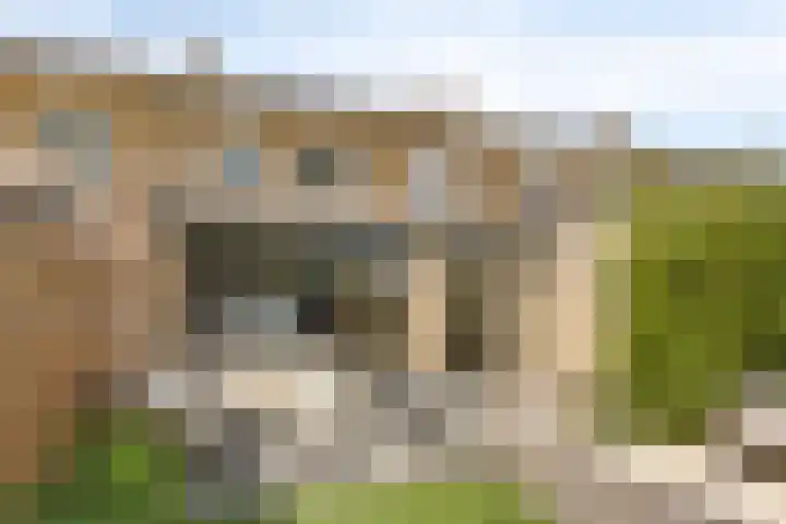 Orlando di Lassostraat 21 's-Hertogenbosch thumbnail 15