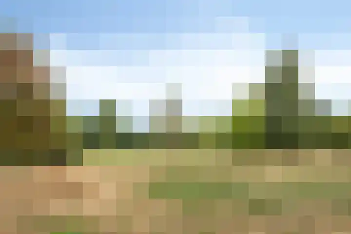 Orlando di Lassostraat 21 's-Hertogenbosch thumbnail 31
