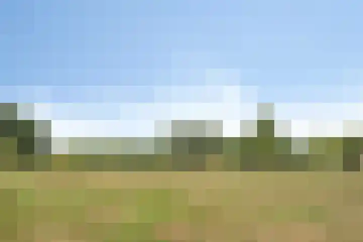 Orlando di Lassostraat 21 's-Hertogenbosch thumbnail 32