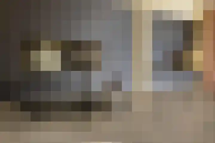 Orlando di Lassostraat 21 's-Hertogenbosch thumbnail 6