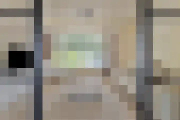Orlando di Lassostraat 21 's-Hertogenbosch thumbnail 8