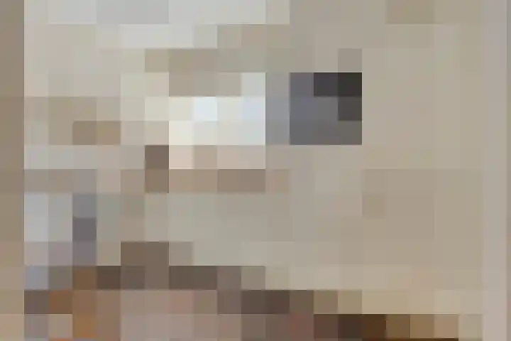 Orleanshof 33 Eindhoven thumbnail 16