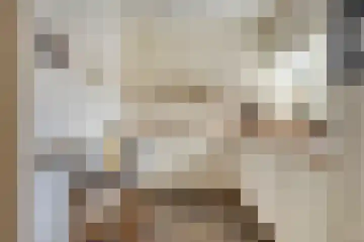 Orleanshof 33 Eindhoven thumbnail 17
