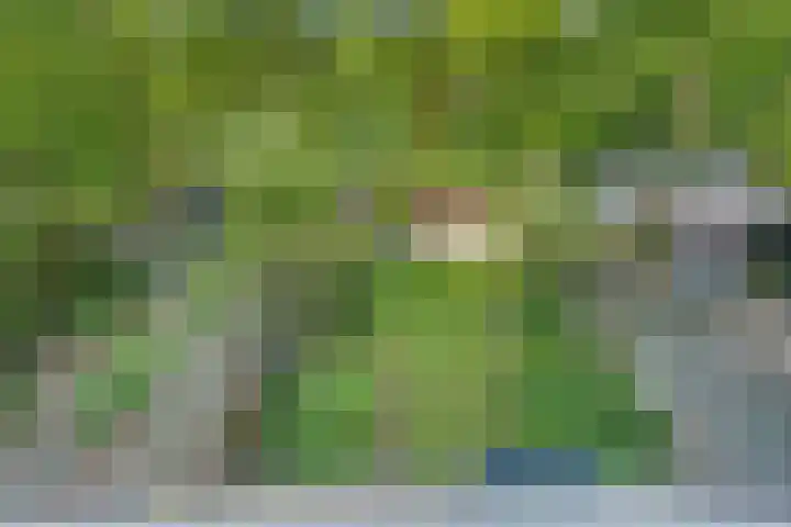 Orleanshof 33 Eindhoven thumbnail 20