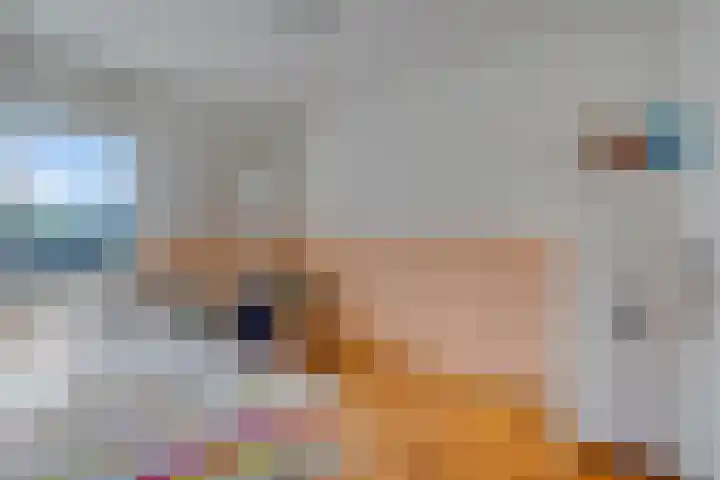Orleanshof 33 Eindhoven thumbnail 21