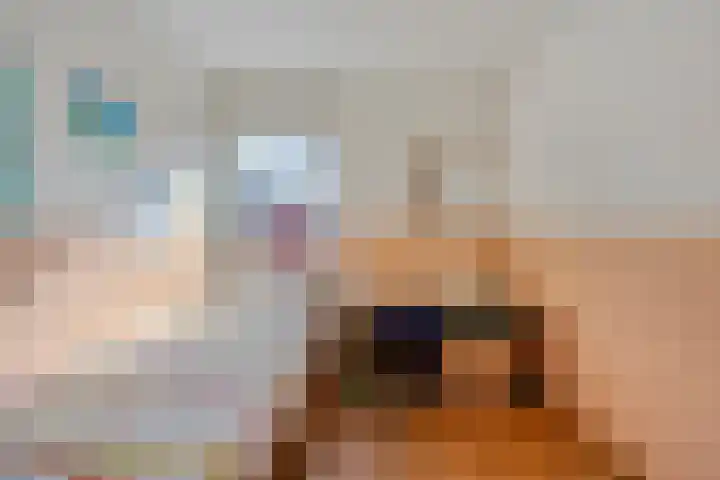 Orleanshof 33 Eindhoven thumbnail 22