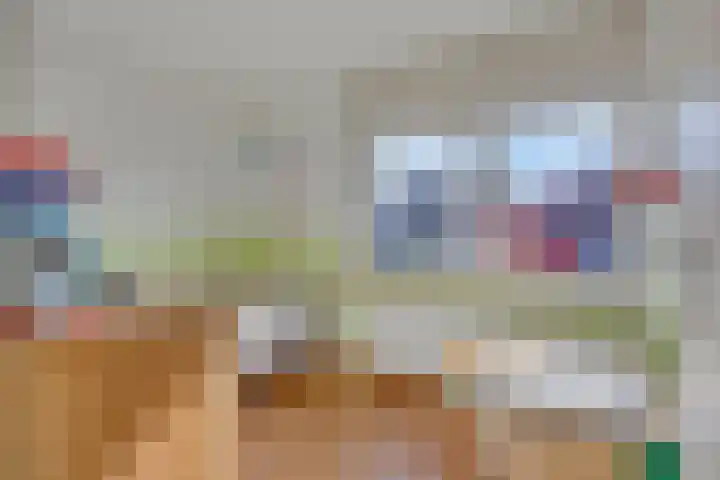 Orleanshof 33 Eindhoven thumbnail 25