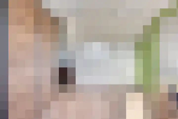 Orleanshof 33 Eindhoven thumbnail 28