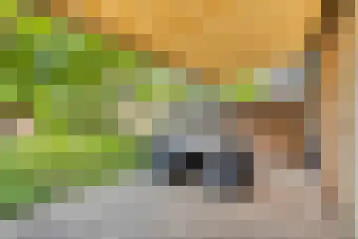 Orleanshof 33 Eindhoven thumbnail 33