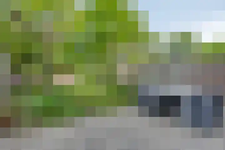 Orleanshof 33 Eindhoven thumbnail 34