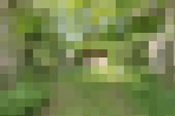 Orleanshof 33 Eindhoven thumbnail 35