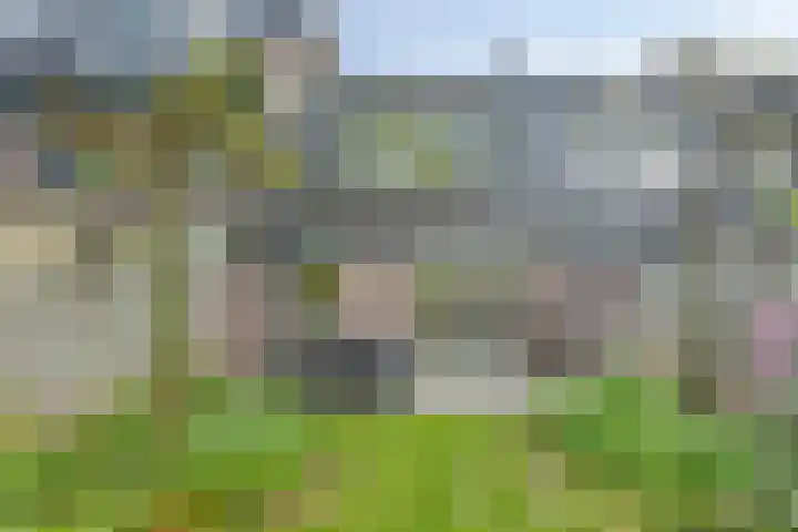 Orleanshof 33 Eindhoven thumbnail 36