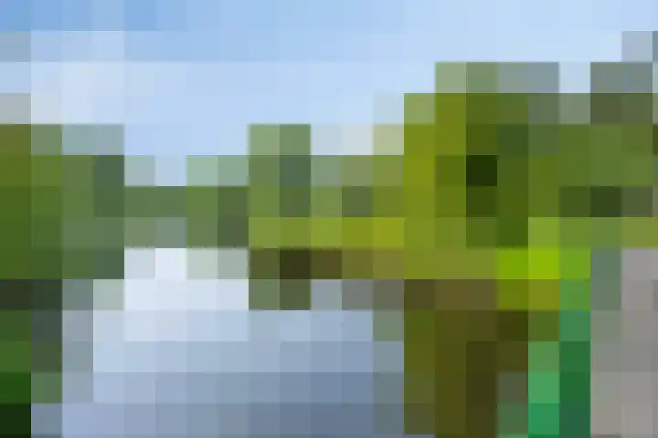 Orleanshof 33 Eindhoven thumbnail 39