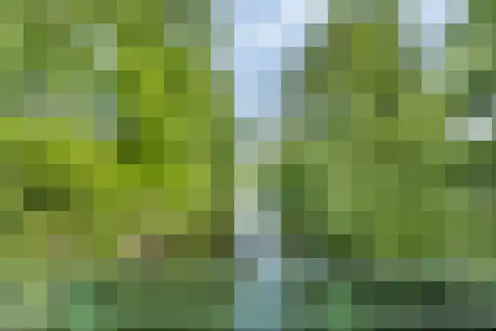 Orleanshof 33 Eindhoven thumbnail 40