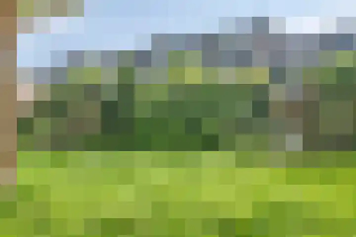 Orleanshof 33 Eindhoven thumbnail 41