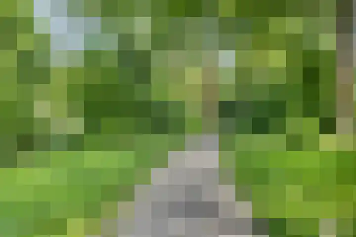 Orleanshof 33 Eindhoven thumbnail 42