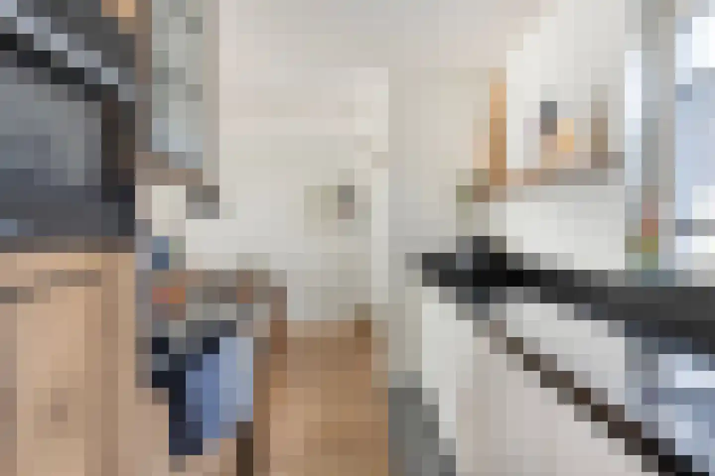 Orleanshof 44 Eindhoven thumbnail 19