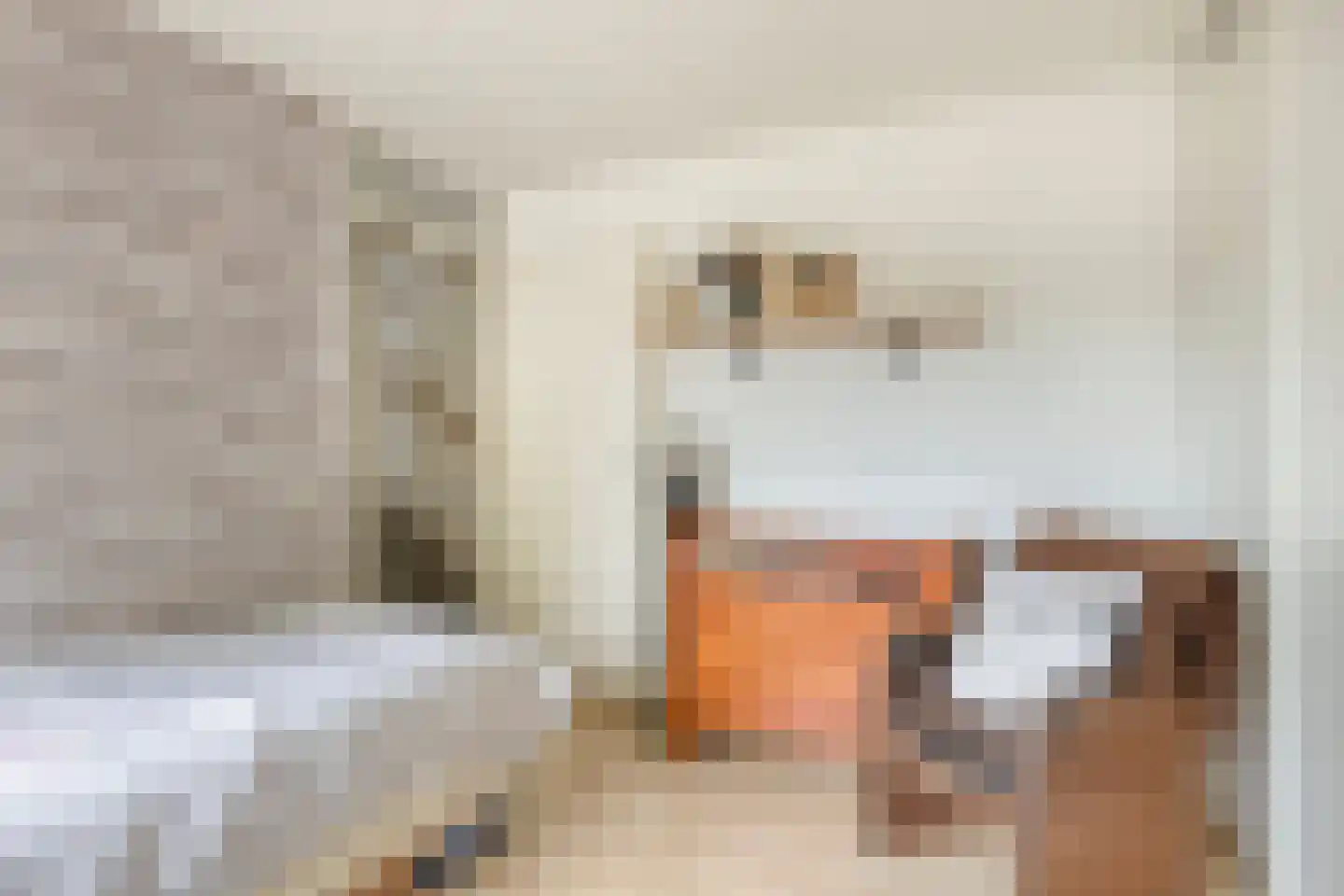 Orleanshof 44 Eindhoven thumbnail 29