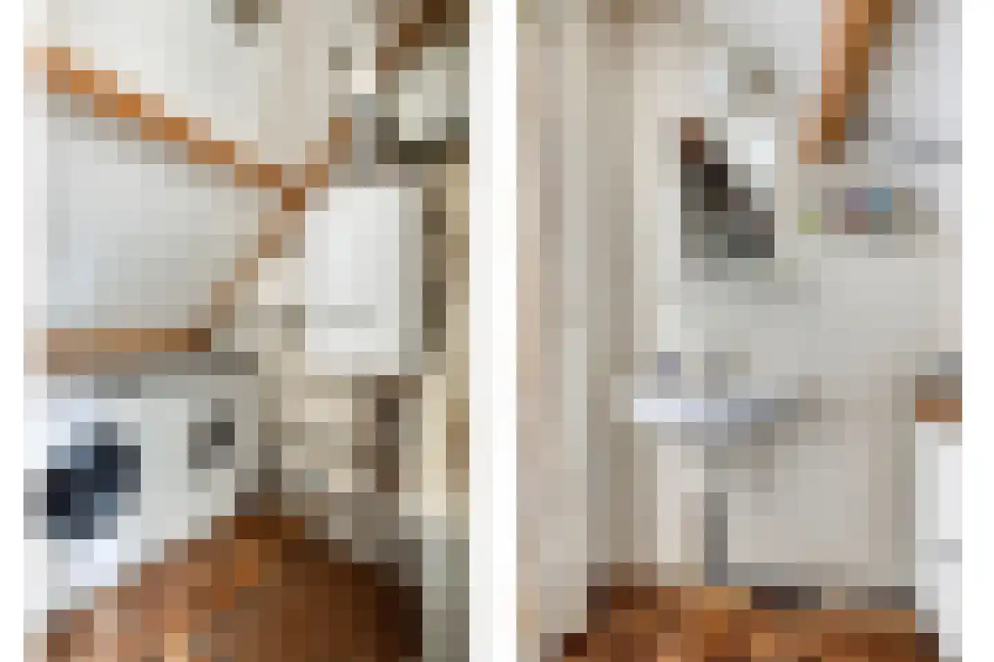 Orleanshof 44 Eindhoven thumbnail 38