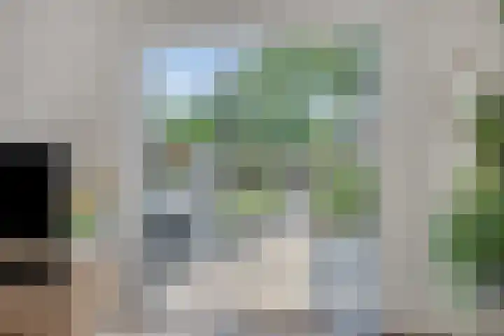 Orleanshof 5 Eindhoven thumbnail 11
