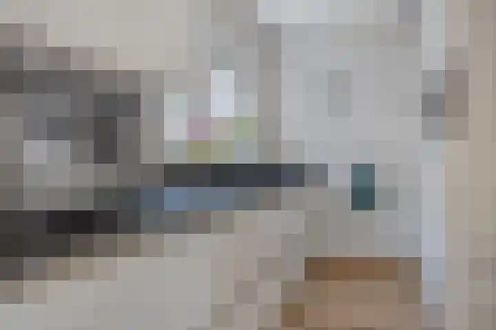 Orleanshof 5 Eindhoven thumbnail 13
