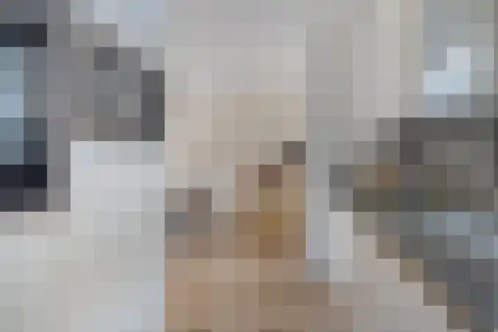 Orleanshof 5 Eindhoven thumbnail 14