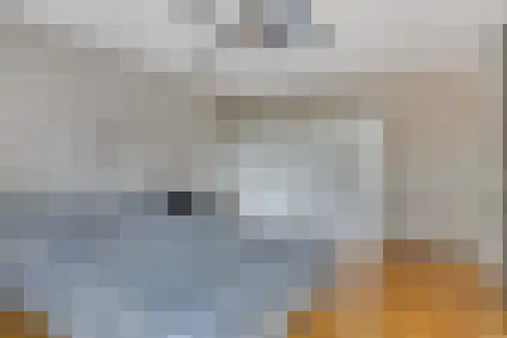 Orleanshof 5 Eindhoven thumbnail 19
