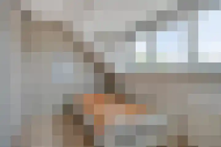 Orleanshof 5 Eindhoven thumbnail 26