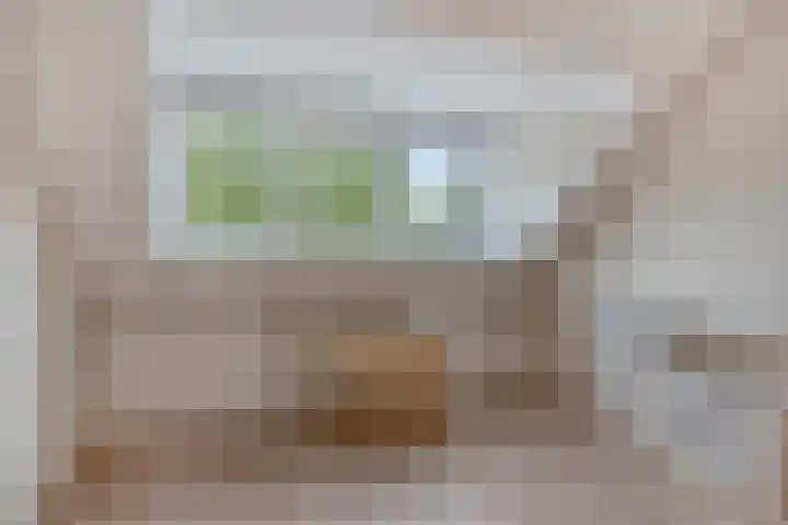 Orleanshof 5 Eindhoven thumbnail 27