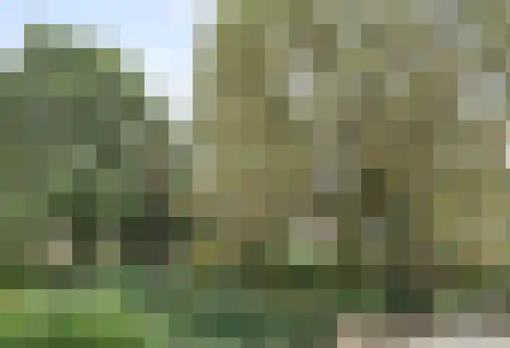 Orleanshof 5 Eindhoven thumbnail 32